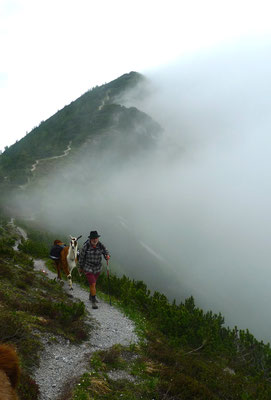 14.6.14, die Nebel unterm Lackenkogel