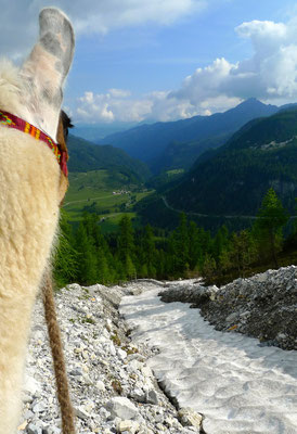 16.6.14, Blick ins Tal