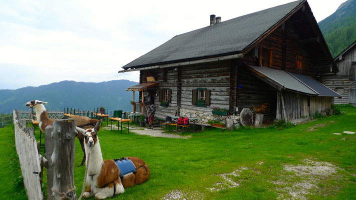 14.6.14, Hinterkuchlberghütte