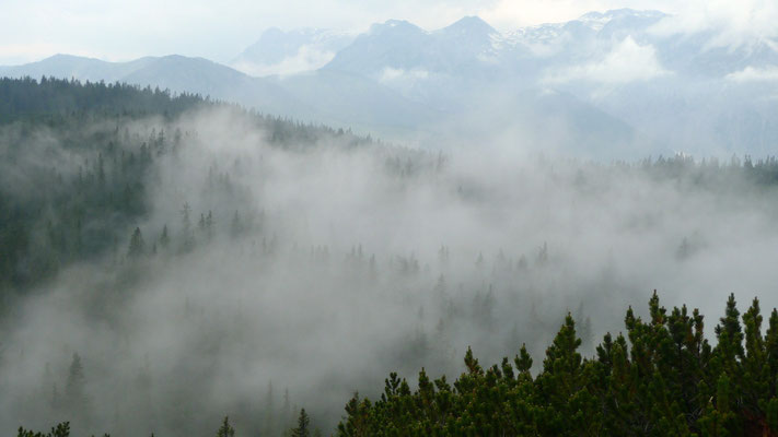 20.6.14, Nebel ziehen