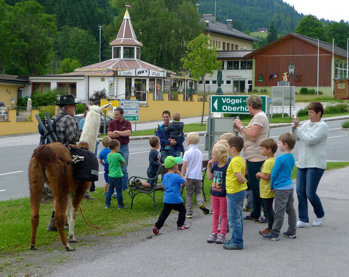 17.6.14, Kindergarten Forstau