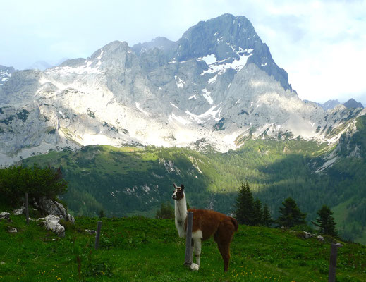 18.6.14, Dachstein