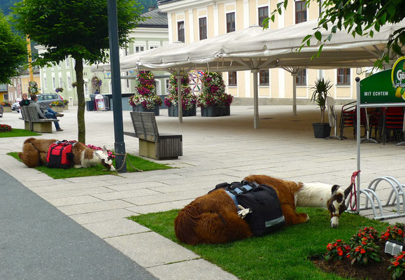 17.6.14, Kaffeepause