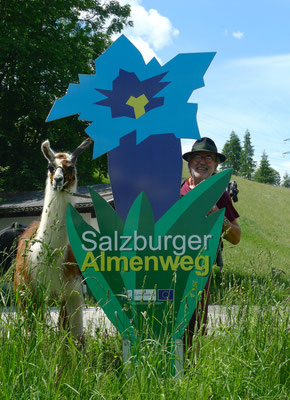 4.6.14, Salzburger Almenweg