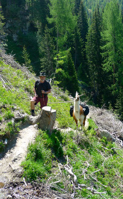 10.6.14, Richtung Weißalm