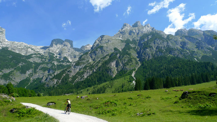 22.6.14, Radler auf die Elmaualm