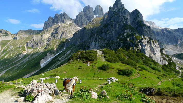 19.6.14, Bischofsmütze