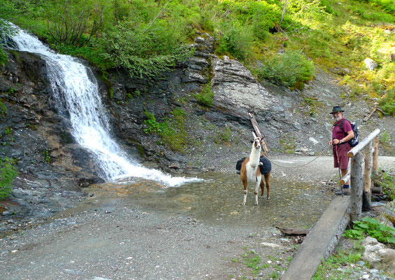 12.6.14, Richtung Steinkaralm