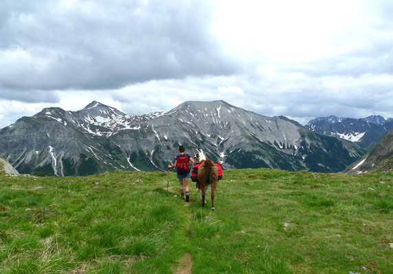 16.6.14, im Hintergrund die Tauern