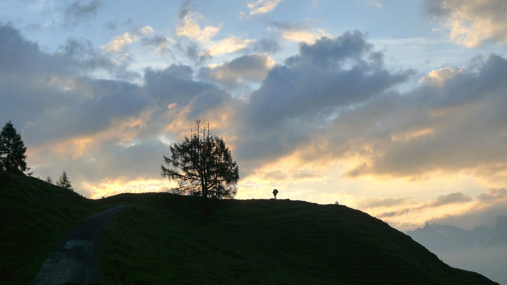 21.6.14, morgens auf der Karalm