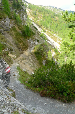 16.6.14, auf dem Hirschsteig