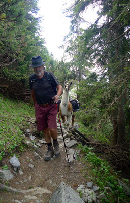 19.6.14, Weg zur Sulzkaralm