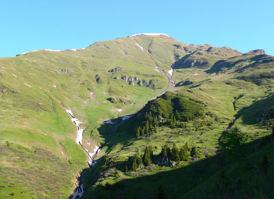 8.6.14, Gamskarkogel, höchster Grasberg Europas