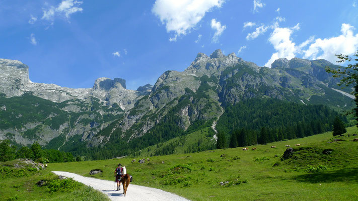 22.6.14, Wanderer auf die Elmauaulm