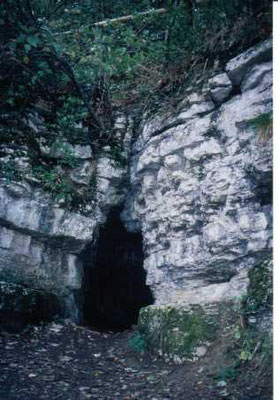 ヴェーヌスの洞窟 