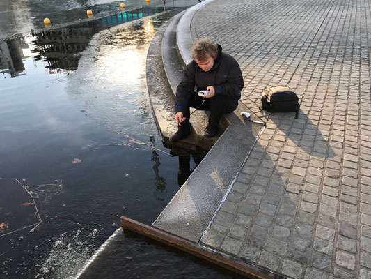 Probestelle Phoenixsee neben dem Frischwasserzulauf