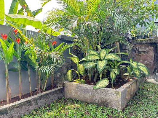 Denpasar huis te koop