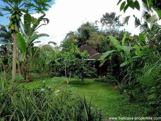 Tabanan real estate for sale