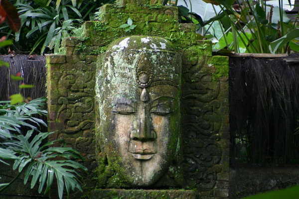 A weathered mossy stone face blending with lush jungle greenery.