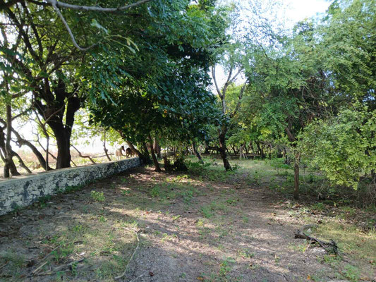 Sumba property for sale