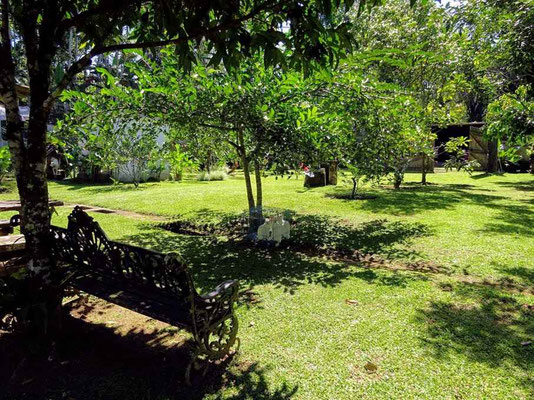 Ubud villa te koop