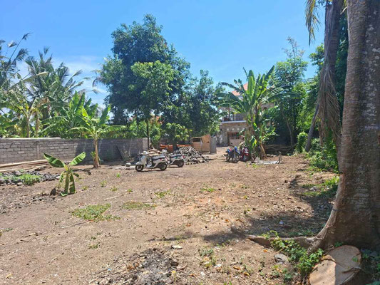 Amed property for sale