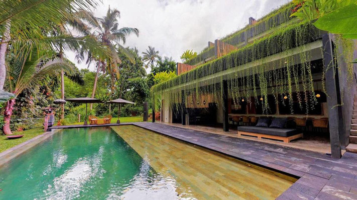 Ubud hotel for sale. Ubud hotel for sale by owner