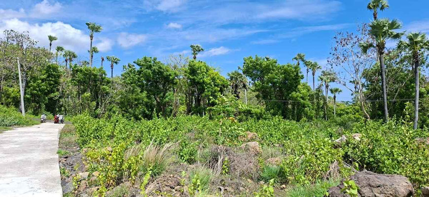 Amed land for sale