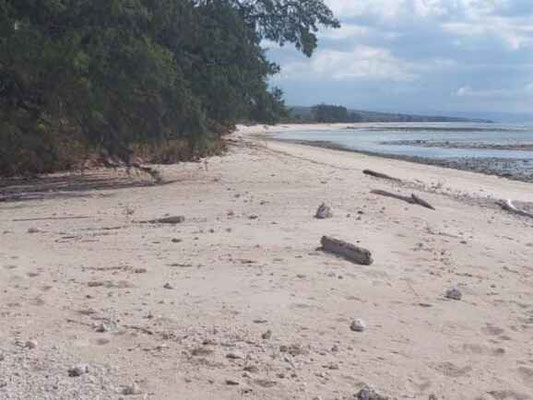 Sumba land for sale