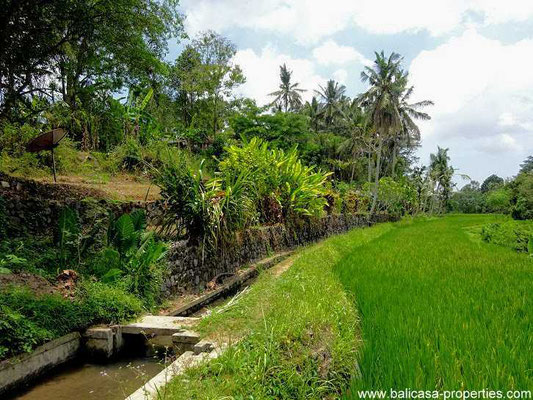 Tabanan property for sale