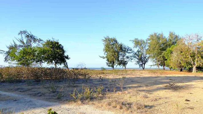 Sumba land for sale