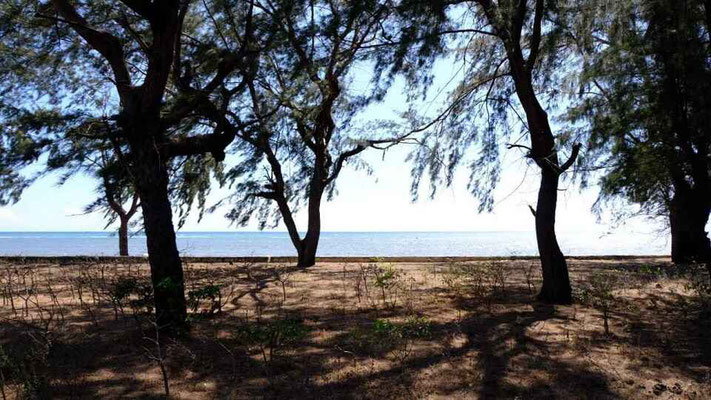 Sumba property for sale
