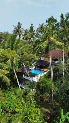 Kerambitan villa for sale