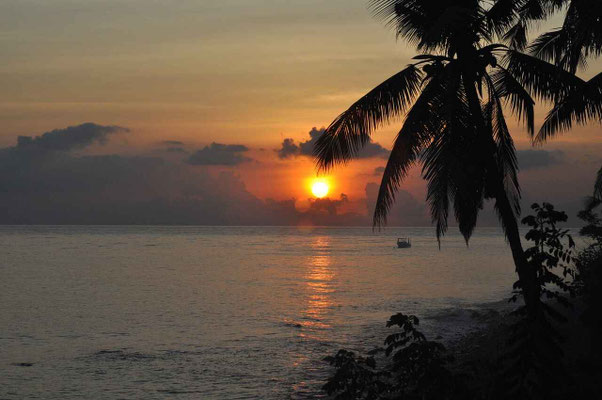 Tropical sunset with palm tree and small fishing boat