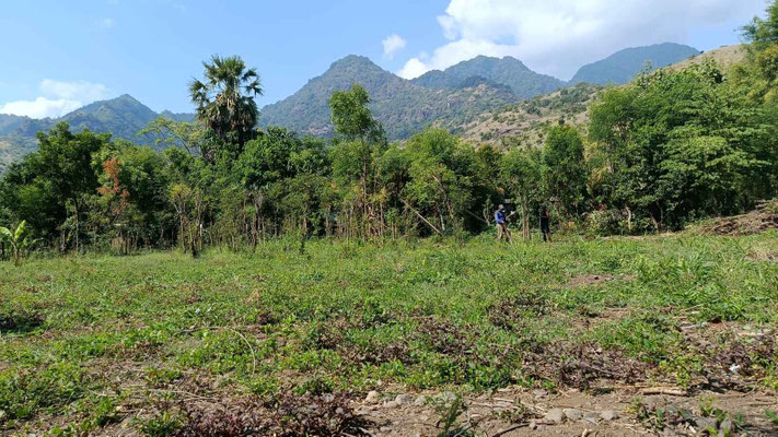 Pemuteran land for sale