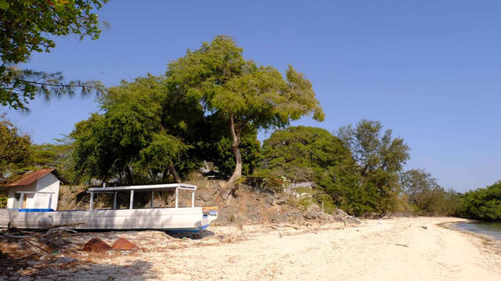 Sumba property for sale