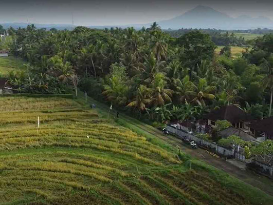Tabanan land for sale