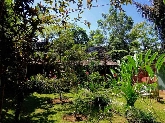 Ubud villa te koop