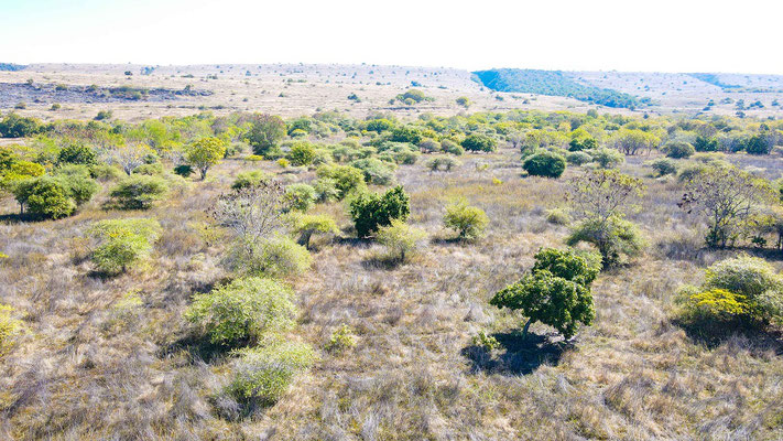 Sumba land for sale