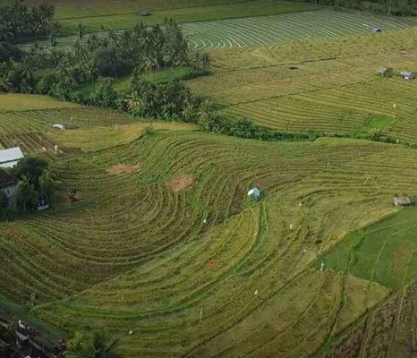 Tabanan land for sale