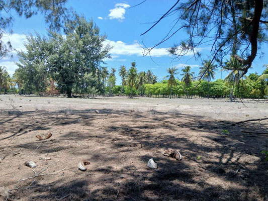Laipori land for sale