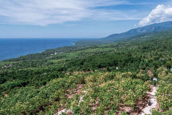 North Bali land for sale