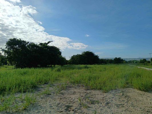 Sumba real estate for sale