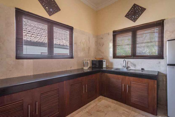 Lovina villa for sale