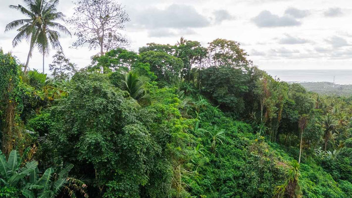 West Bali property for sale