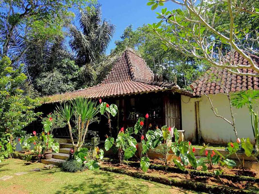 Ubud Villa zu verkaufen