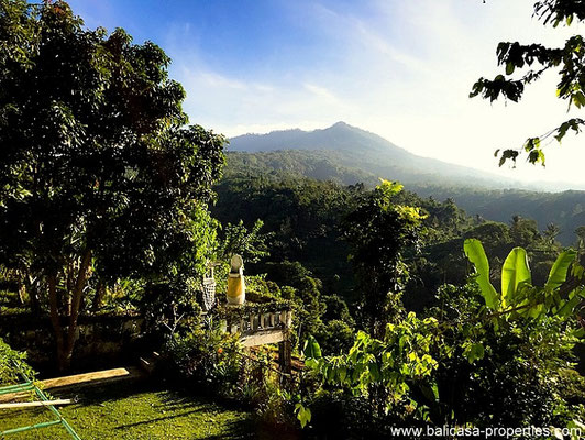 Ubud villa for sale.