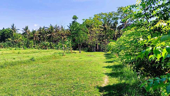 Dijual rumah di Jasri