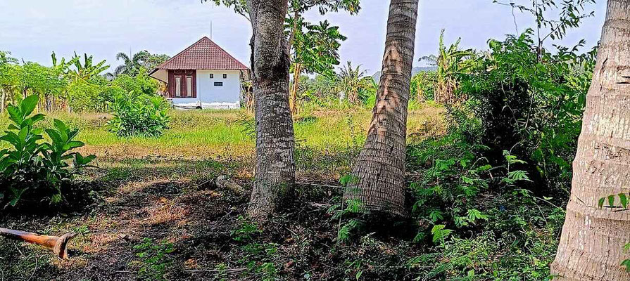 Dijual rumah di Jasri