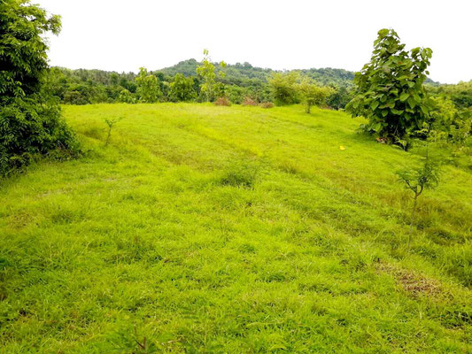 North Bali land for sale